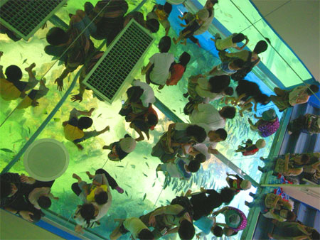 0803-2.jpg